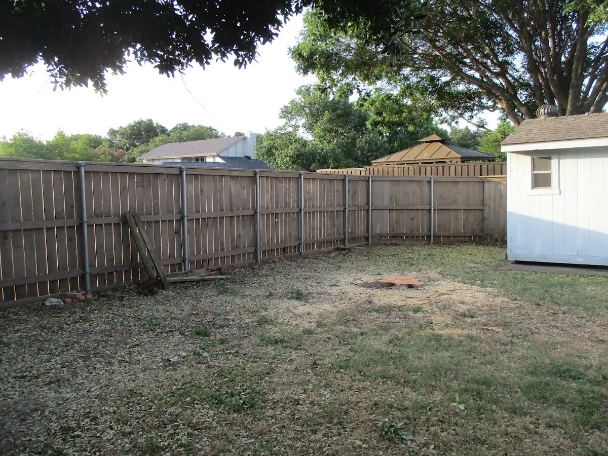 Cleared yard after professional tree removal in Fairfield